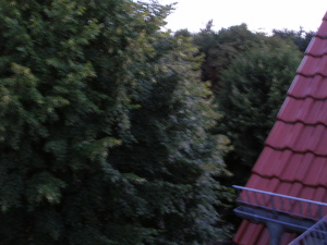 okolí